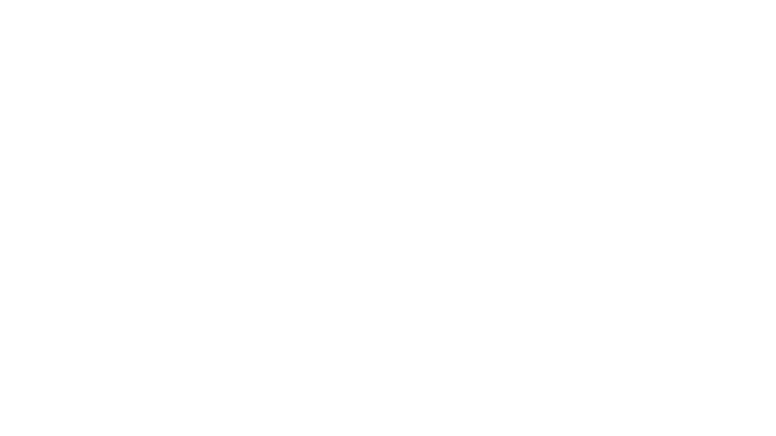 logo_DANCE-REFLECTIONS-blanc