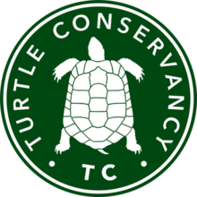 Turtle_Conservancy_Logo